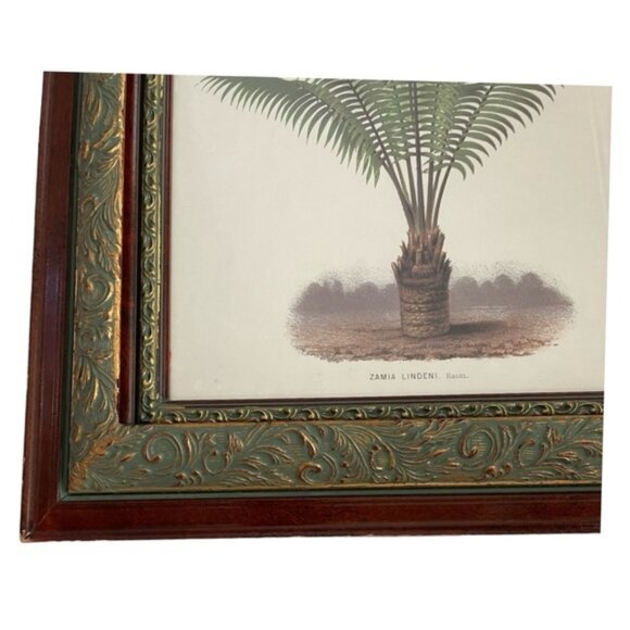 Framed Botanical Print Illustration 22'" x 17.5" - Picture 3 of 8
